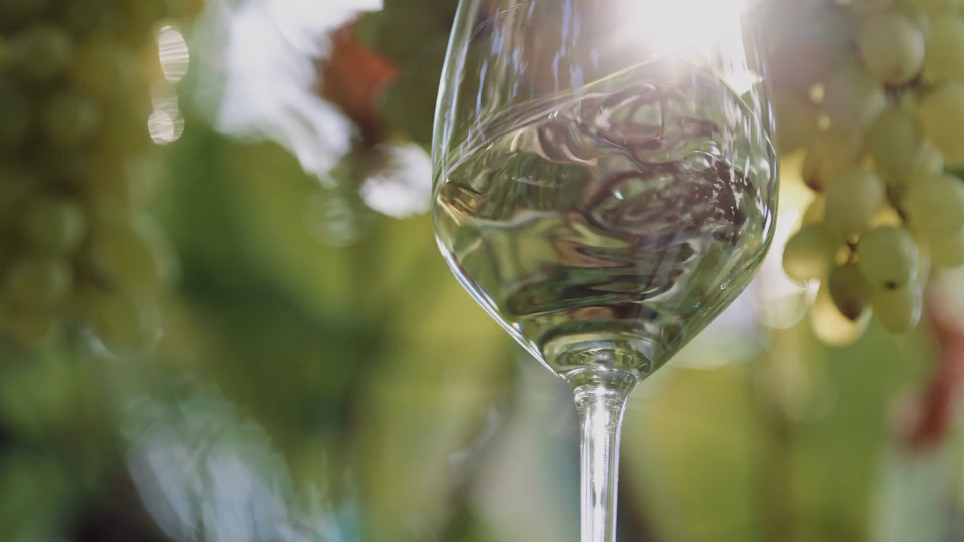 calice con vino analcolico e dealcolato premium Other Cru in Italia
